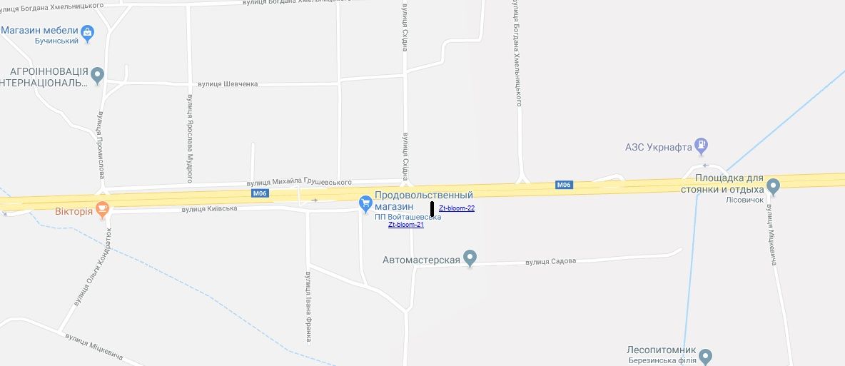 Білборд/Щит, Траси, траса Київ-ЧОП М-06 124+980(ліво)