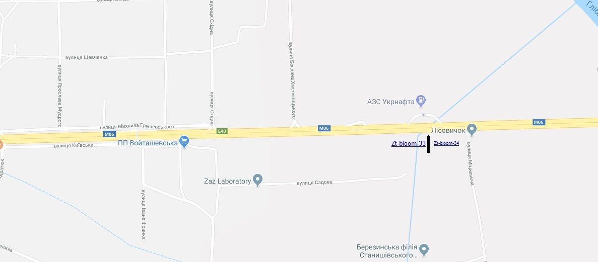 Білборд/Щит, Траси, траса Київ-ЧОП М-06 124+200(ліво)