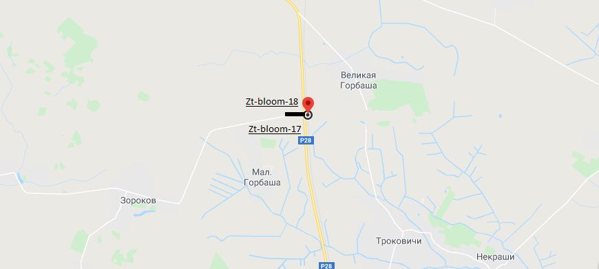 Білборд/Щит, Траси, траса Виступовичі - Житомир - Могилів-Подільський М-21 161+100 (ліво)
