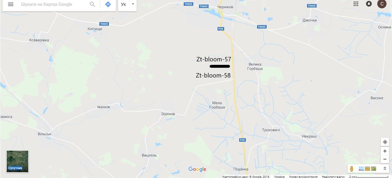 Білборд/Щит, Траси, траса Виступовичі - Житомир - Могилів-Подільський М-21 159+300 (право)