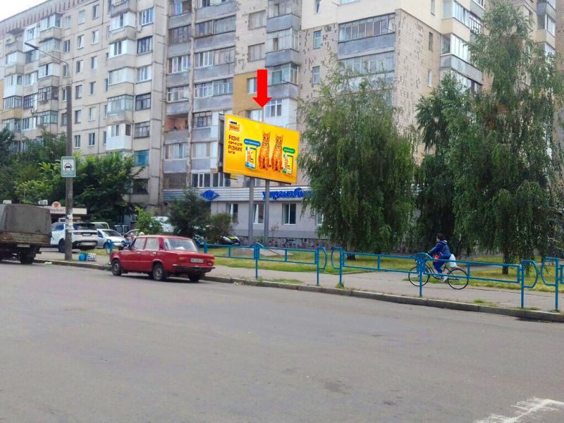 Билборд/Щит, Житомир, Князів Острозьких вул. (кол. Шелушкова вул.) / Київська вул., біля Укргазбанку, на світлофорі