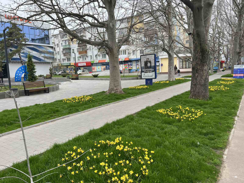 Сітілайт, Чорноморськ/Іллічівськ, пр.Миру, 14