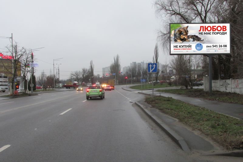 Білборд/Щит, Київ, вул. Кульженків/ вул. Лугова, світлофор до ТРК "Караван" и гіпермаркету Ашан