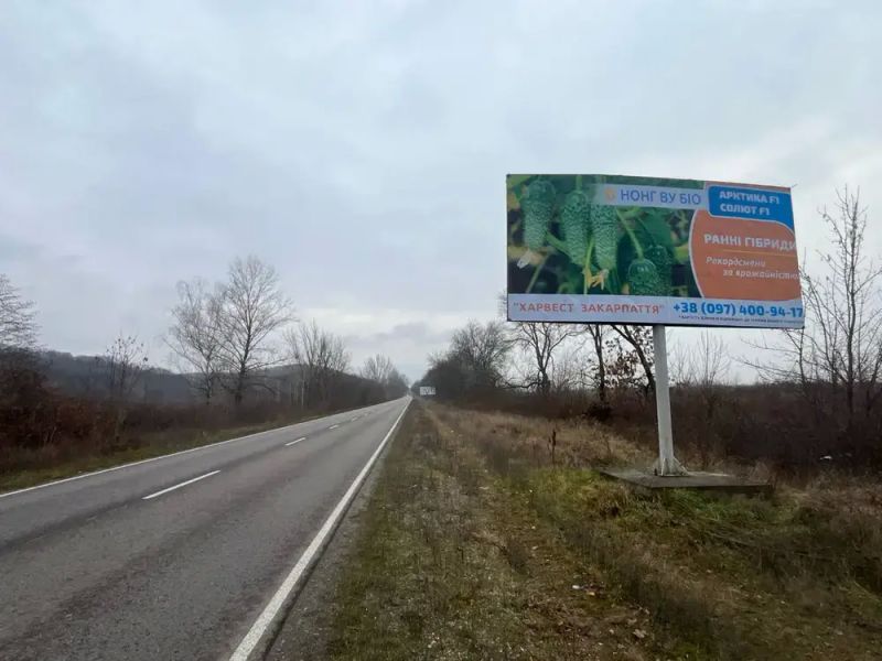 Билборд/Щит, Трассы, Виїзд з с. Онок, в сторону м. Виноградів