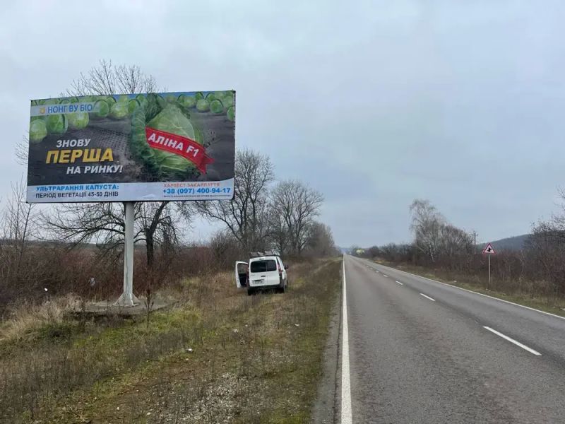Билборд/Щит, Трассы, Виїзд з м. Виноградово, в сторону с. Онок
