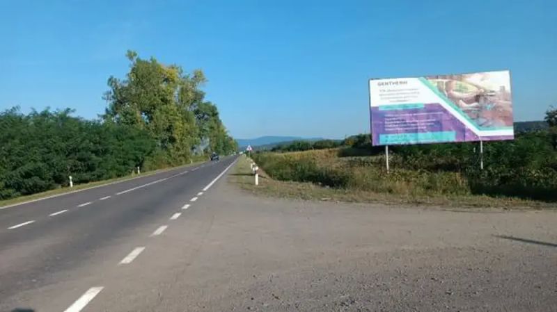 Билборд/Щит, Трассы, с.Заріччя, вул, Головна, траса Мукачево-Івано-Франківськ, в сторону м.Хуст