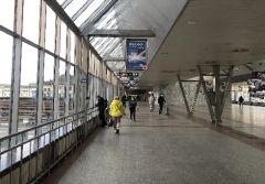 KiSE419B