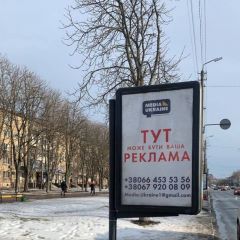 113В