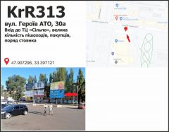 KrR313